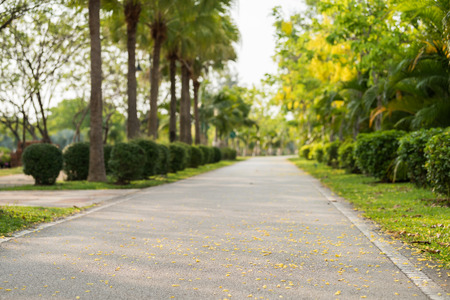 Landscape plublic park with jogging track, Selective focus shallow dept fieldの写真素材