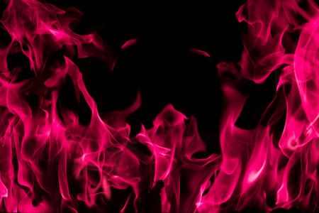 Blaze pink fire flame background and texturedの写真素材