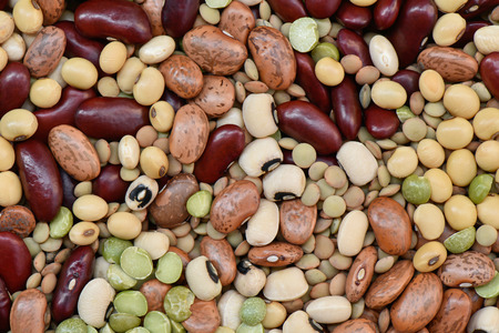 Multicolor dired legumes for background, Different dry bean for eating healthy