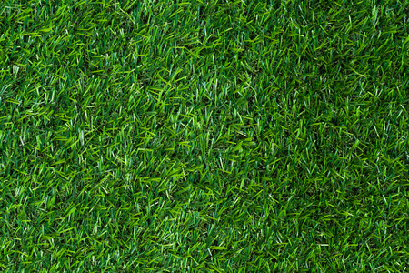 Green grass background and texturedの写真素材
