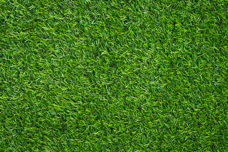 Green grass background and textured, Turf backgroundの写真素材