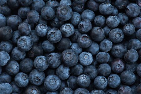 Arrangement blueberries for fruit backgroundの写真素材
