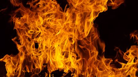Blazing fire flame background and texturedの写真素材
