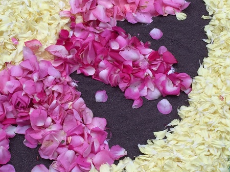 Petals