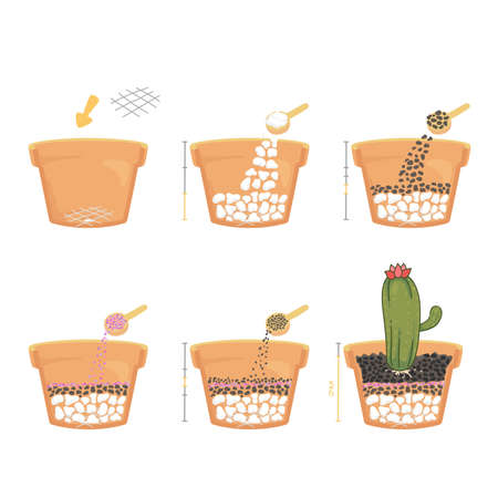 teach the steps of cactus planted in pots with colorful gravel in side view  cut in half to reveal the composition of the soilのイラスト素材