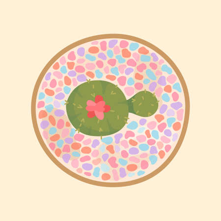 Cactus planted in pots with colorful pebbles in top viewのイラスト素材