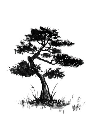bonsai asian tree retro old line art etching vectorのイラスト素材