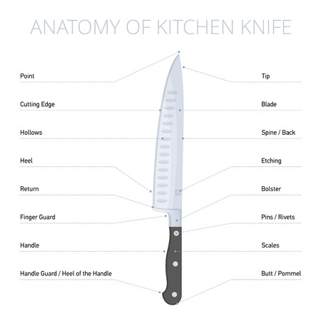 Kitchen knife parts diagram: blade, bolster, handle, spine, edge, butt, heel. Flat illustration of cooking steel tool with callouts. Vector design infographic elements isolated on white background.のイラスト素材