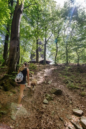 Women tourists walk in the forest to nature tours.の写真素材