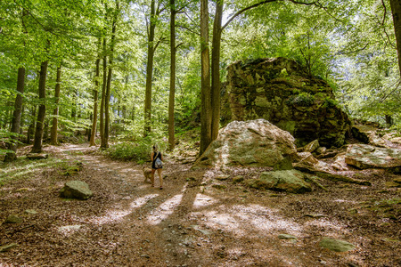 Women tourist walking into forest park.の写真素材