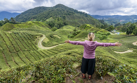 Tourist enjoing view on tea plantation at Cameron Highlandsの写真素材