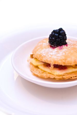 Pastry dessert served with wildberry topping. White isolatedの写真素材