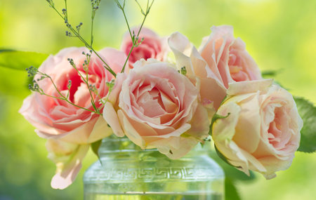 pink rose flowers on beautiful blur background. Pink roses bouquet in a gardenの写真素材
