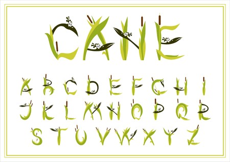 Set of decorative reed fonts. Isolated on white background.のイラスト素材