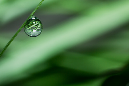 Water drop on green grass in macro view, the water drop in natural backgroundの写真素材