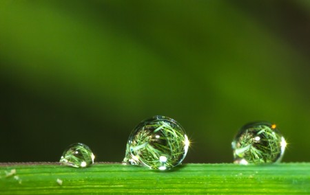 water drop on plants leaf, the macro of water drop, rain drop patternの写真素材