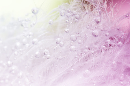 the bird hair pattern in macro view, water drop on hair abstract background, close-up water drop on pink backgroundの写真素材