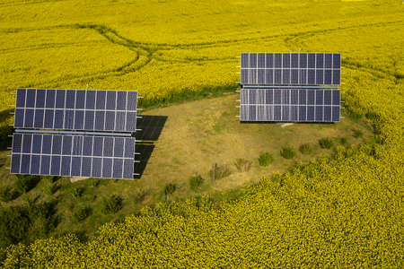 Solar power plant in a yellow flowering fieldの写真素材