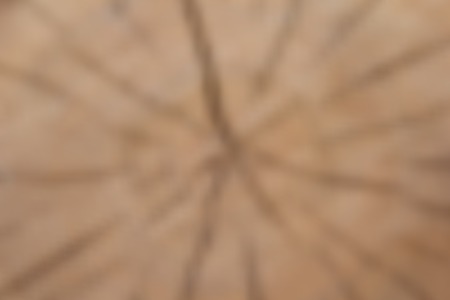 vector illustration - blured background of fallen tree stump