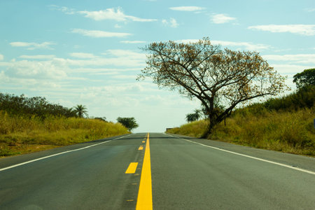 Straight road touching the sky and beautiful tree at the right side
