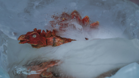 A frozen dinosaur that needs to simulate the ice ageの写真素材