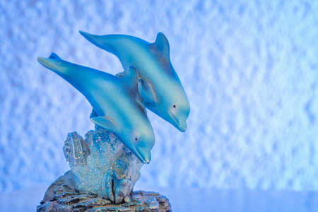 Dolphins next to a coral reef in the water next to each otherの写真素材