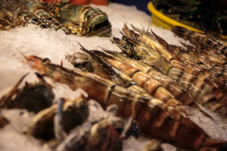 fresh and raw crabs and lobsterの写真素材