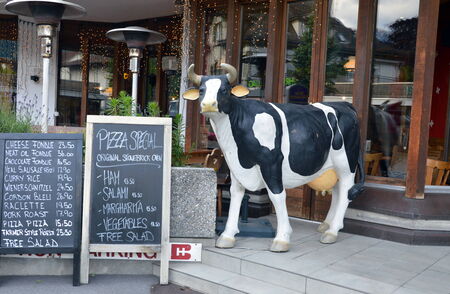 milk cow in front of restaurant at Interlaken Switzerlandのeditorial素材