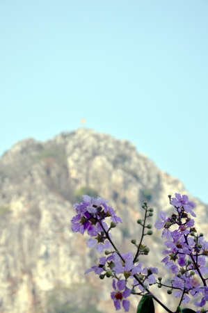  Pride of India on mountainの写真素材