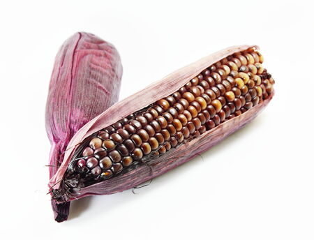 black cornの写真素材
