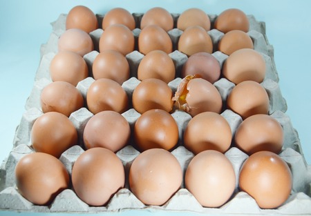 cracked egg in the tray