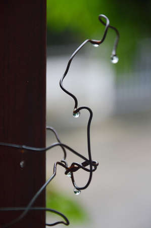 drop of water on the iron wireの写真素材