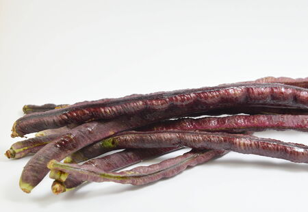 purple cow-peaの写真素材