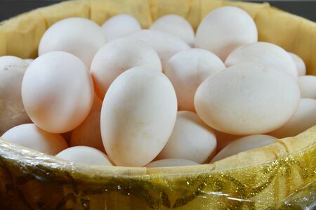 duck egg in basket