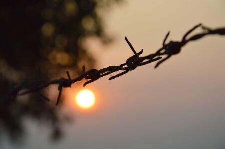 sunrise behind barb wire