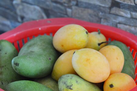 Marian plum and mango in the basket