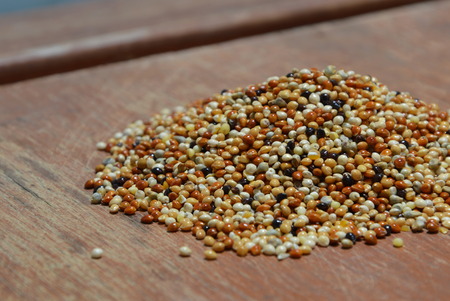 bird food on the table
