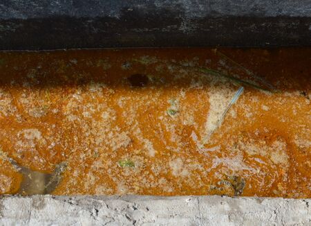 cesspit in the house