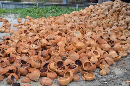 coconut coir in dessert factory