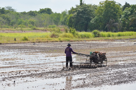 Pathumthanee Thailand May 12, 2015 : Thai farmer on pushcart in paddy fieldのeditorial素材