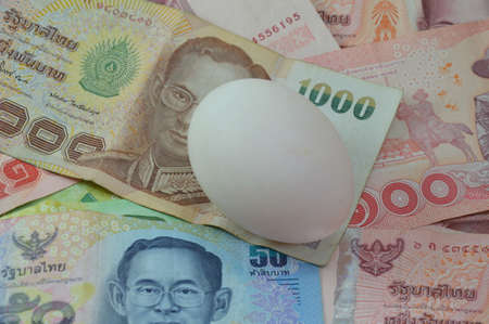 Thai banknote and white eggの写真素材