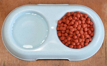 dog food and fresh water on double bowlの写真素材