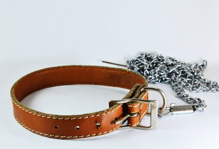 dog leather collar and lead chainの写真素材