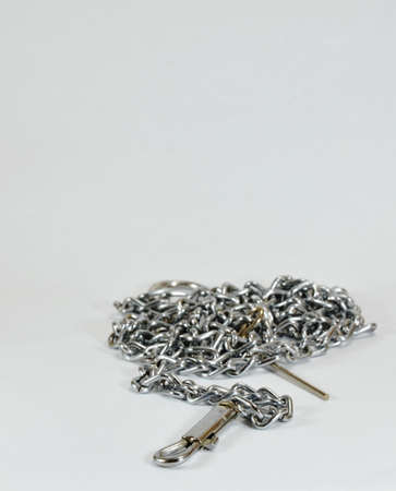 dog lead chainの写真素材
