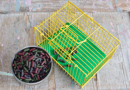 rabbit food in bowl and yellow cageの写真素材