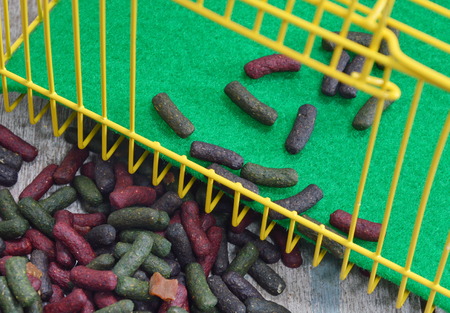 rabbit food in yellow cageの写真素材