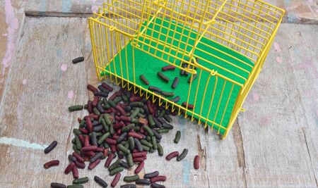 rabbit food and cage on wooden boardの写真素材