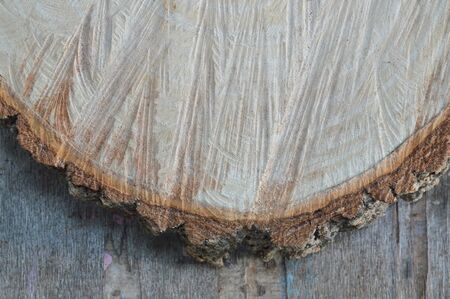 texture of tamarind wood cut for made chopping blockの写真素材