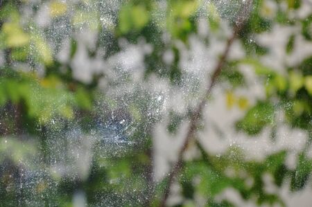 water stain on glass door in the house