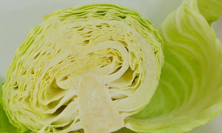 cabbage cut textureの写真素材